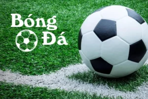 Bóng Trong Cuộc Và Bóng Ngoài Cuộc: Quy Định Cơ Bản Nhất