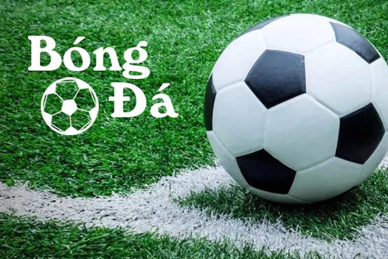 Bóng Trong Cuộc Và Bóng Ngoài Cuộc: Quy Định Cơ Bản Nhất