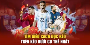Kèo Trên Kèo Dưới Là Gì Bí Quyết Phân Biệt Để Cược Chuẩn