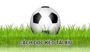 Soi Kèo Tài Xỉu Hiệp 1 Bóng Đá Chuẩn Xác Nhất Từ Chuyên Gia