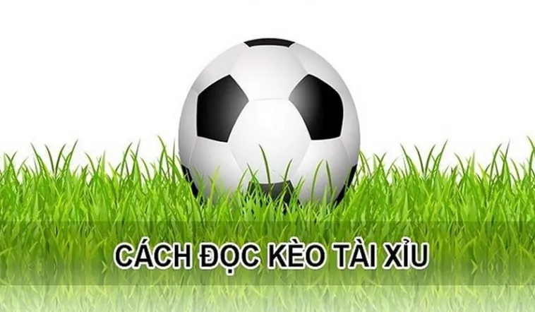 Soi Kèo Tài Xỉu Hiệp 1 Bóng Đá Chuẩn Xác Nhất Từ Chuyên Gia
