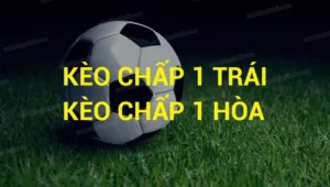 Kèo Chấp 1 Trái Là Gì Bí Quyết Đánh Bại Nhà Cái Kèo Một Hòa