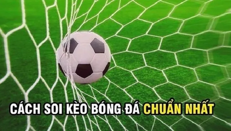 Bí Quyết Đánh Kèo Rung Bóng Đá Chạy Cùng Nhịp Đập Sân Cỏ